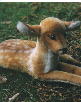 Steiff-Rehkitz Fawn
