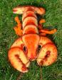 Steiff-Hummer Crabby